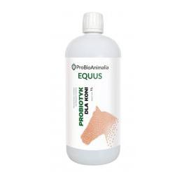 ProBio Equus probiotyk dla koni - 1L