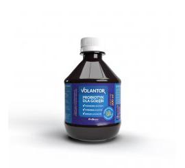 Volantor - Probiotyk dla gołębi - 200ml
